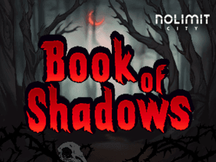 Book Of Shadows game screenshot